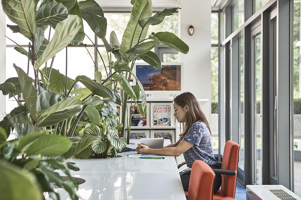 Goethe Institut Library