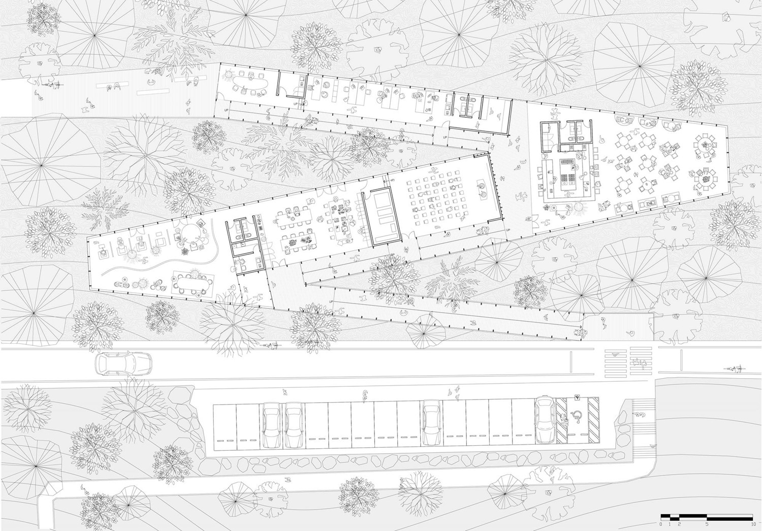 Healing Forest Pavilion