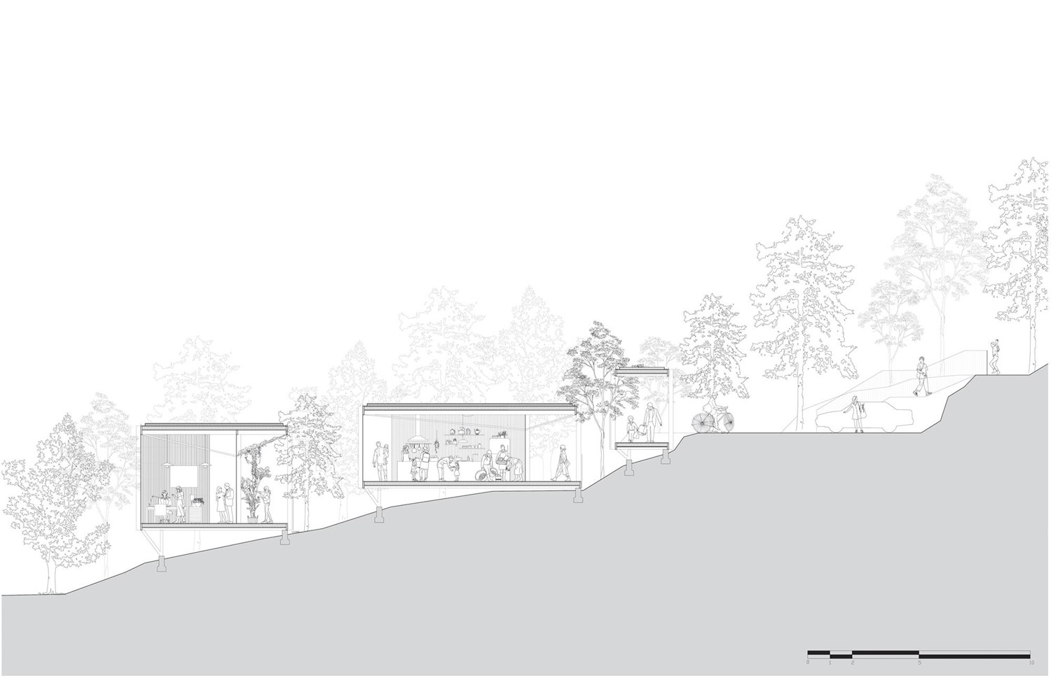 Healing Forest Pavilion